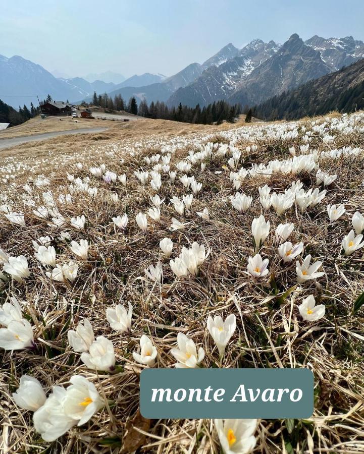 Appartement La Boheme, 2 Min Da Qc Terme, Free Parking à San Pellegrino Terme Extérieur photo